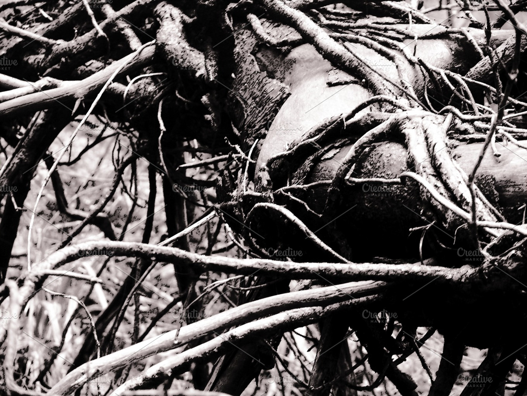 Pain, a Photo by lsalas-morera