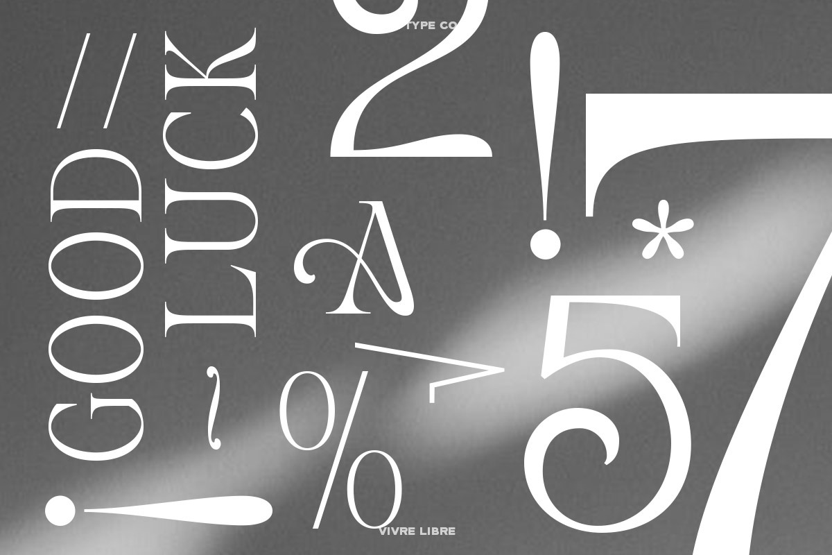 TAN - VIVRE LIBRE, a Serif Font by TanType (Photo 10 of 17)