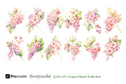 Watercolor Grapes Clipart, an Object Illustration by crafty (Thumbnail 7 of 11)