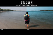 DJI OSMO | CEDAR LUT PACK, a Layer Style Add-On by Josh Zaring Studios (Thumbnail 3 of 6)