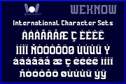 The Trojan Horse font, a Serif Font by weknow (Thumbnail 8 of 8)