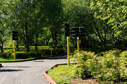 Park with small traffic lights in Reykjavik, Iceland, surrounded by green folia, a Photo by AS photostudio