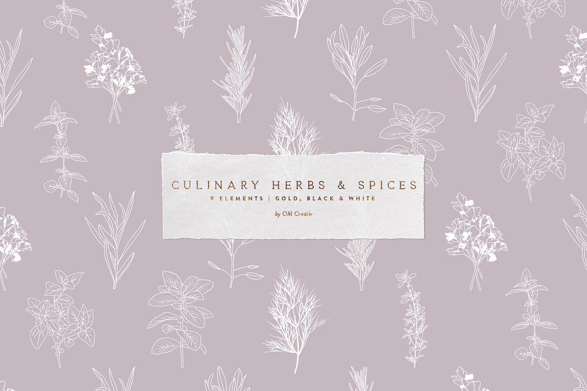 Vector Culinary Herbs & Spices, an Illustration by OM Creativ (Photo 3 of 6)