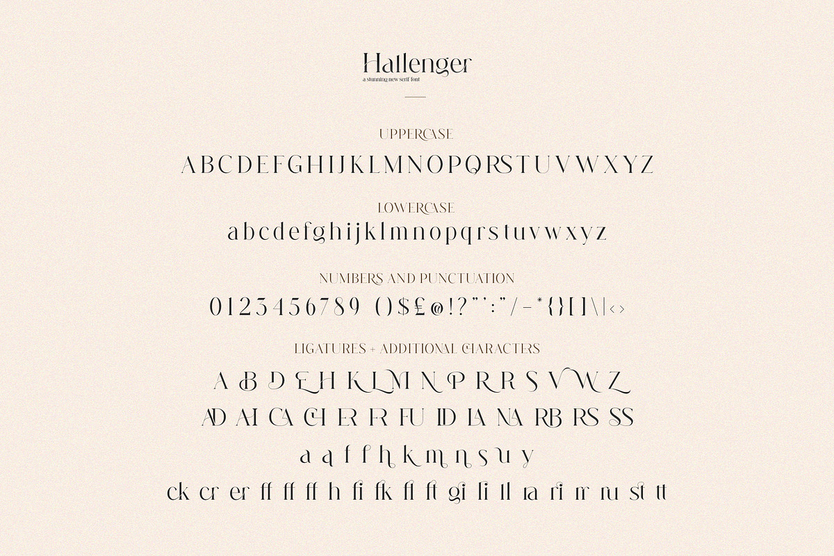 Hallenger Serif Font, a Serif Font by Salt & Pepper Designs (Photo 8 of 10)