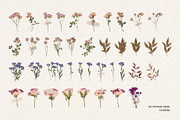 231 Vintage Dried Flowers, an Object Graphic by Ksuview (Thumbnail 7 of 8)