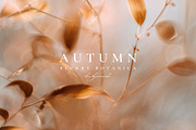 Autumn Blurry Floral Backgrounds, a Background Graphic by Altea Design Studio (Thumbnail 6 of 15)