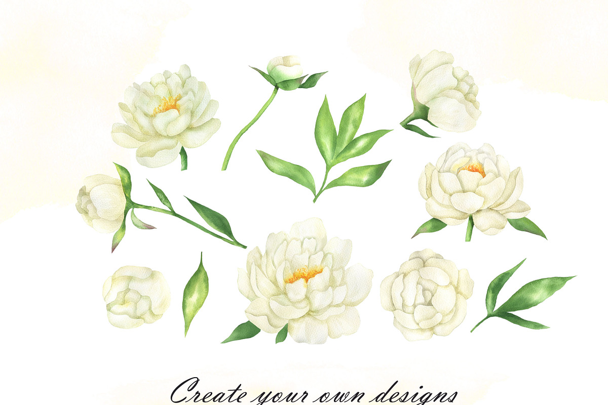 White peonies watercolor clipart, an Illustration by OlDm_Shop (Photo 8 of 10)