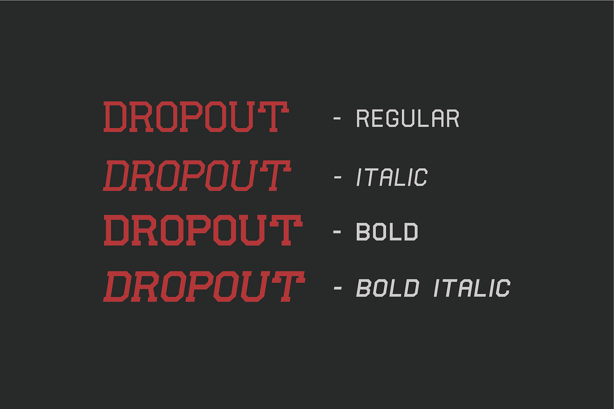 UNDRRTD - Dropout preview 5