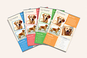 Pet Flyer Gallery, a Flyer Template by Sargatal (Thumbnail 1 of 4)