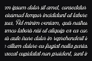 Blackstone Script, a Script Font by Hustle Supply Co. (Thumbnail 4 of 9)