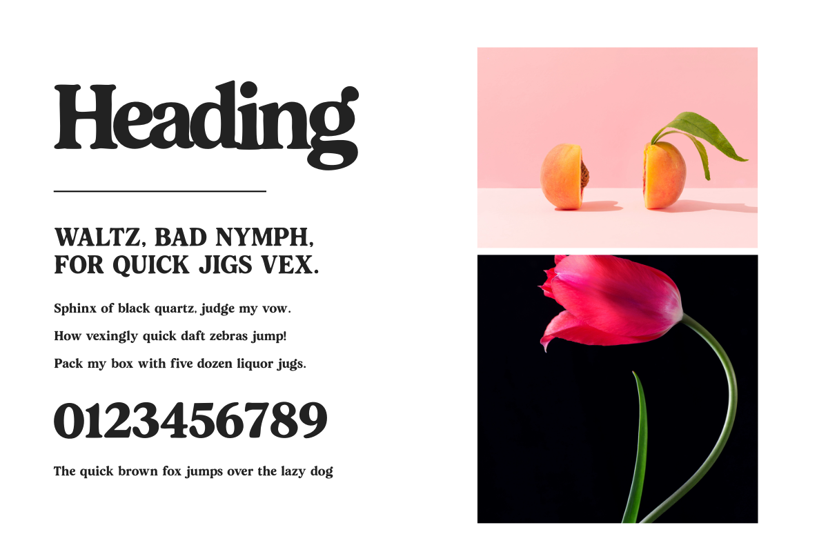 Proten Font - Display Serif Font, a Serif Font by Koplexs Studio (Photo 6 of 14)