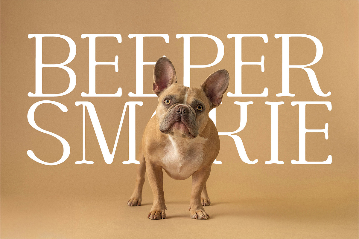 CORTEXO – Modern Serif Typeface, a Serif Font by Foxtype (Photo 5 of 7)