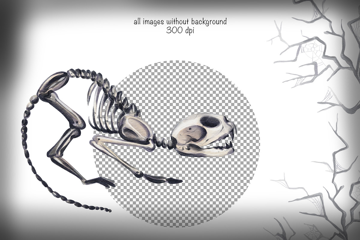 Halloween pumpkins and skeletons, an Illustration by Alena Sid (Photo 4 of 12)