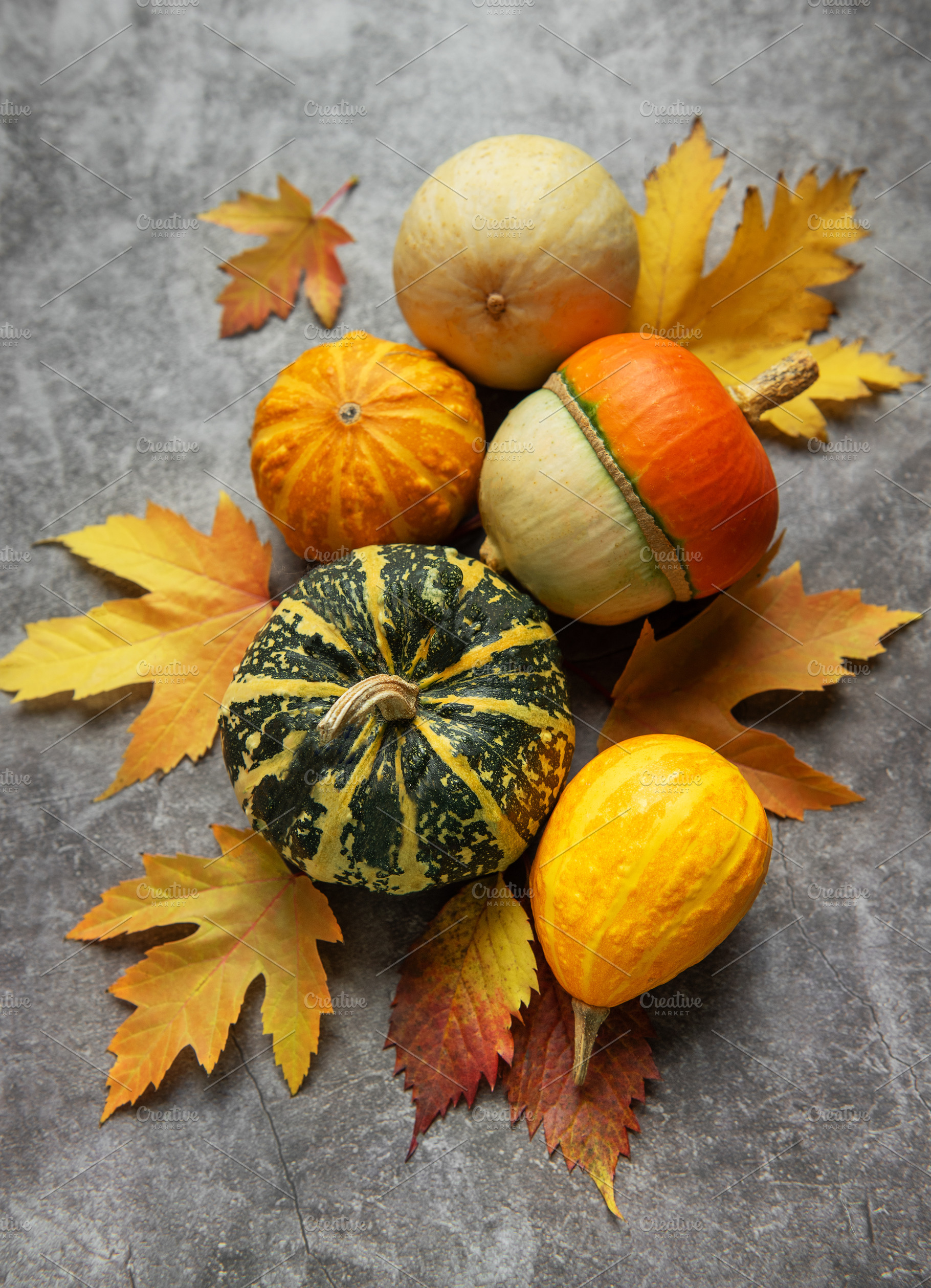 Decorative gourds and pumpkins among autumn leaves on grey backg, a Food & Drink Photo by Olena Rudo