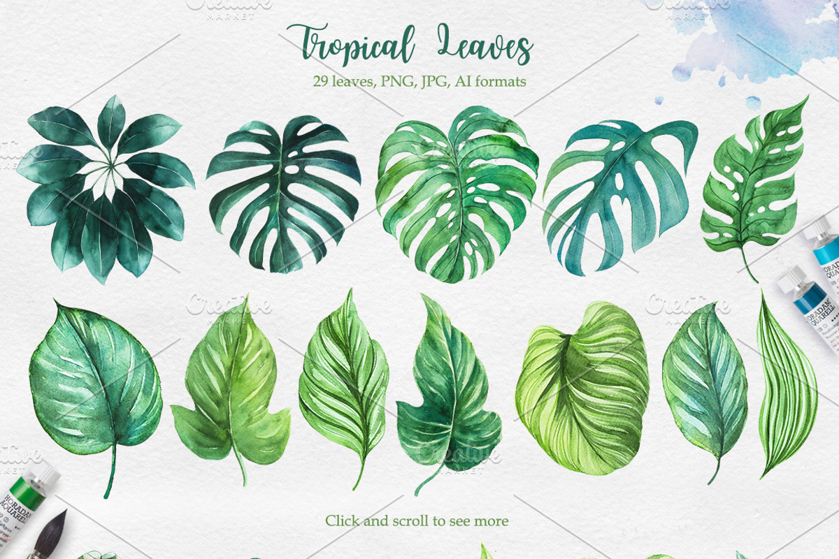 Tropical. Watercolor illustrations., a Decorative Illustration by AlexGreenArt (Photo 3 of 12)