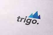 Trigo Logo Template, a Branding & Logo Template by Propex (Thumbnail 1 of 2)