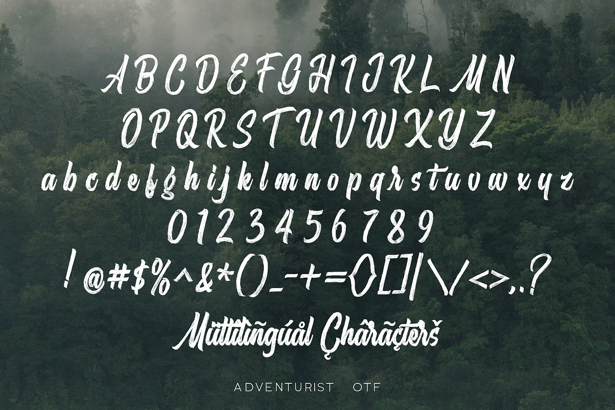 Adventurist - SVG Script Font, a Script Font by Surplus Type Co (Photo 9 of 11)