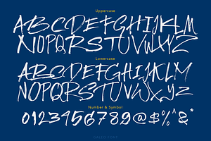 Galeo Brush Font