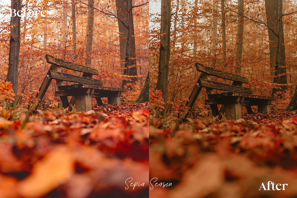 15 Autumn Inspired Lightroom Presets, a Preset Add-On by HipFonts (Photo 8 of 10)
