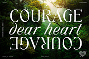 TAN - ANGLETON, a Serif Font by TanType (Thumbnail 15 of 16)