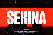 SEKINA - Modern Condensed Sans Serif, a Sans Serif Font by TypeLogue (Thumbnail 1 of 5)