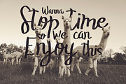 The Stopped Brush Typeface, a Script Font by SmartDesigns (Thumbnail 5 of 5)
