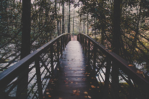 Black Bridge