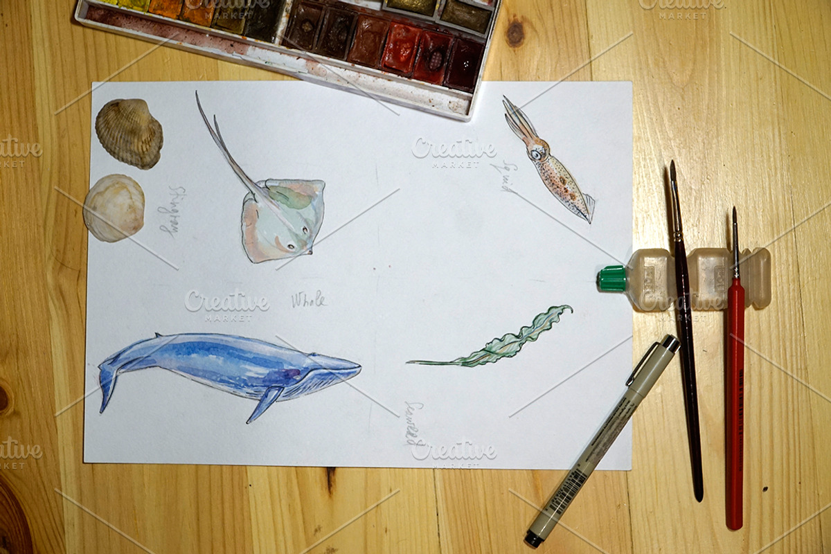 Watercolor sea animals, an Animal Illustration by miminoshka (Photo 8 of 9)