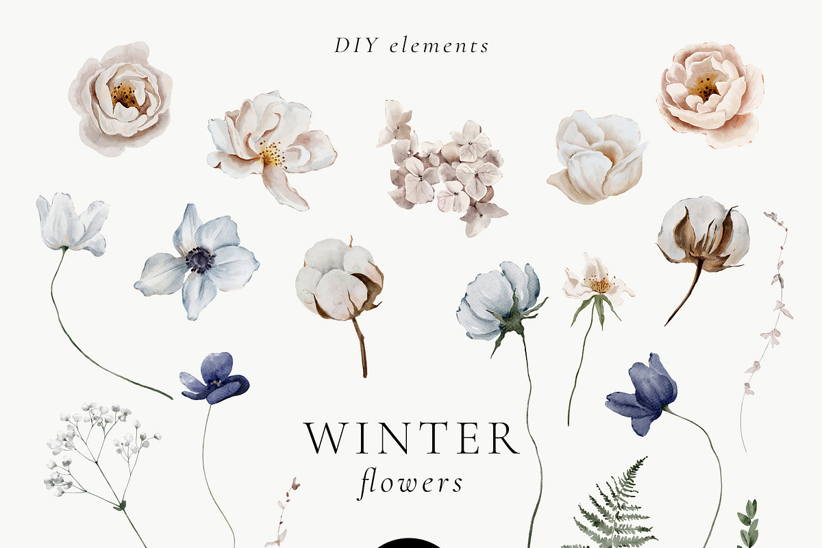 Winter Flowers Watercolor Set, a Decorative Illustration by Watercolor_Ma (Photo 7 of 8)