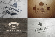 280 Outdoor logos and badges, a Branding & Logo Template by Vasya Kobelev (Thumbnail 49 of 83)