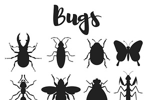 Bugs!