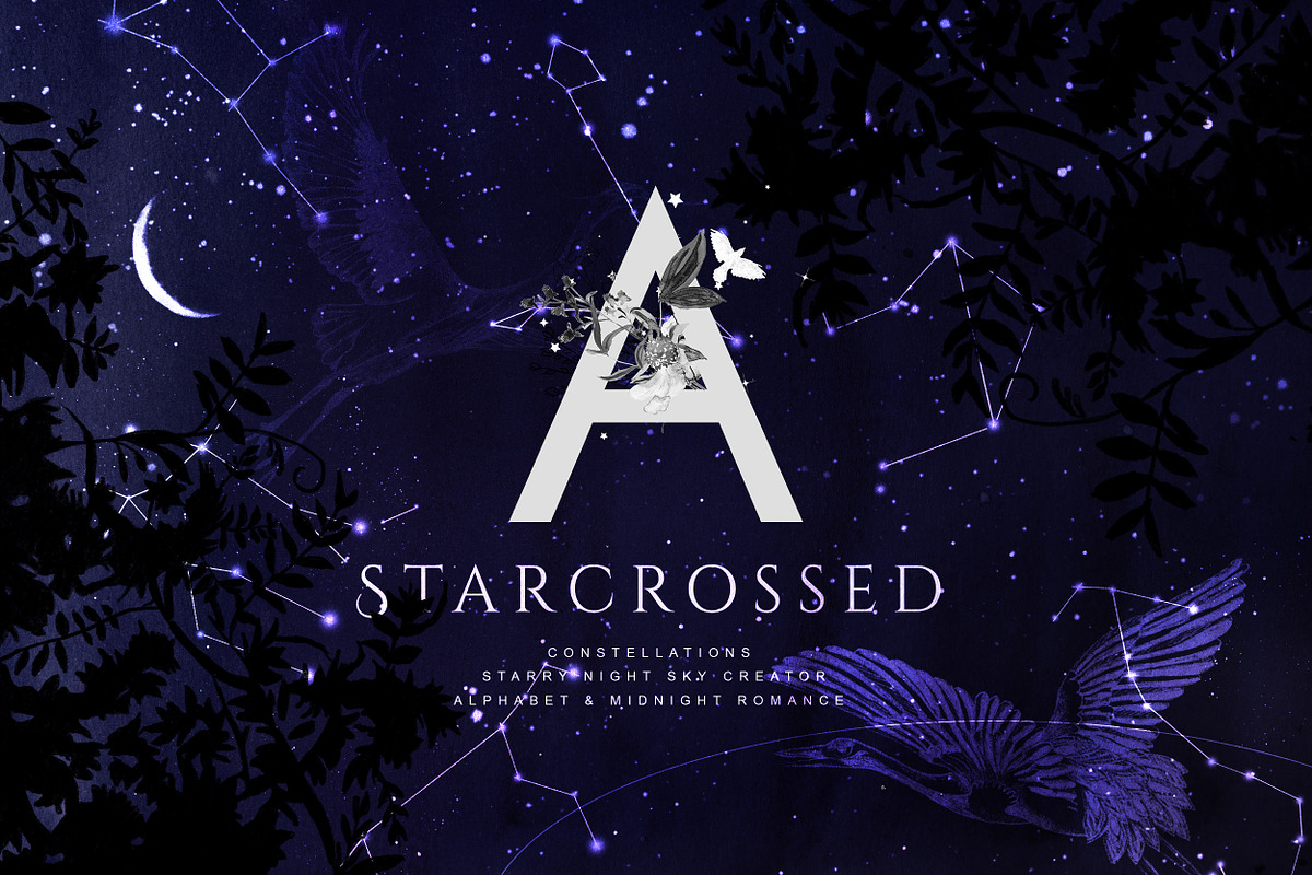 Starcrossed - Starry Design Set, an Object Graphic by Isabelle Salem (Photo 1 of 13)