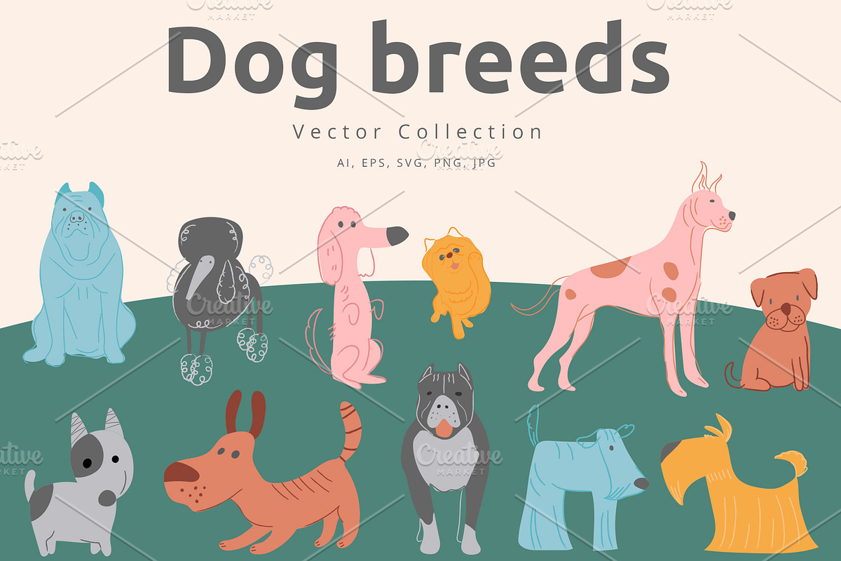 Dog breeds vector set, a Background Graphic by Vectorwins Premium Shop