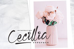 Cecillia - Script
