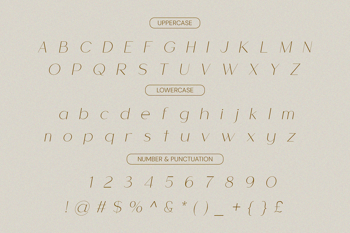 Cherla - Clean & Visual Elegance, a Sans Serif Font by BOOSH Studio (Photo 12 of 14)