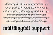 Switella - Modern Decorative Font, a Serif Font by TypeClassHeroes (Thumbnail 10 of 10)