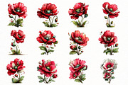 Whimsical spring poppy flower Clipar, an Illustration by Designworld (Thumbnail 4 of 8)