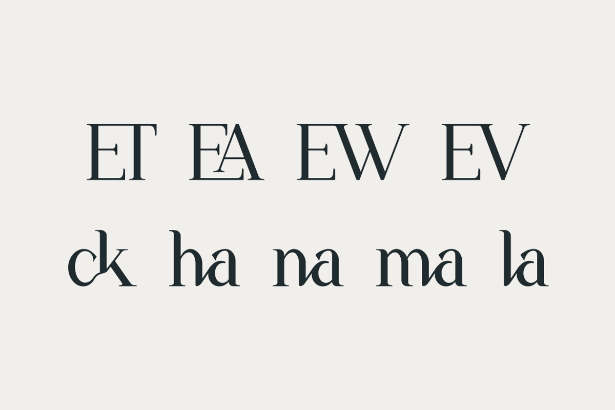 The New Seasone, a Serif Font by RockboyStd (Photo 10 of 12)
