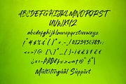 Rustlime Brush Font, a Script Font by Sronstudio (Thumbnail 10 of 10)