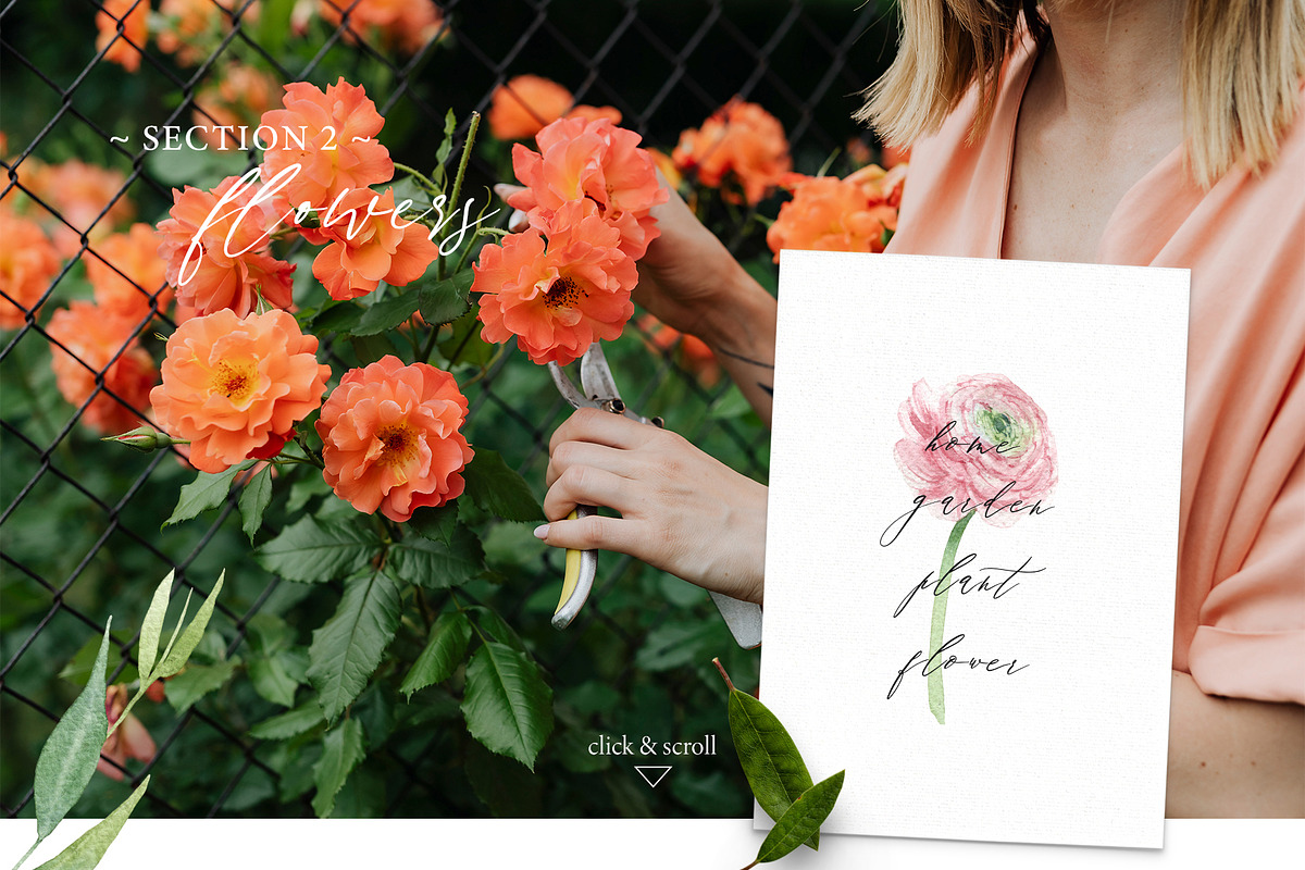 Inspired by The Garden, an Animal Illustration by NiKO (Photo 4 of 17)