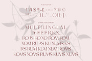 Bromise - Luxury Serif Typeface, a Serif Font by Muflieart (Thumbnail 10 of 10)