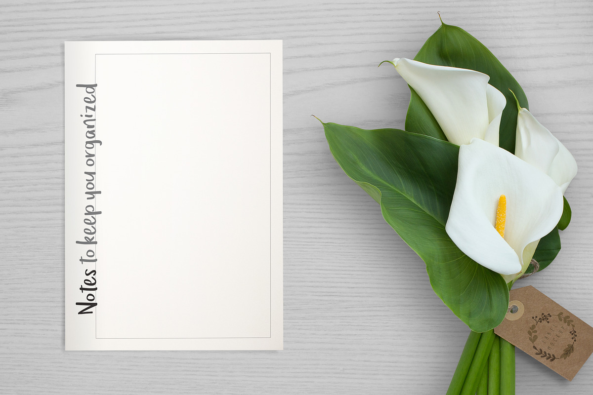 BUNDLE: 4 Styles Planners, a Stationery Template by Outline Design (Photo 9 of 12)