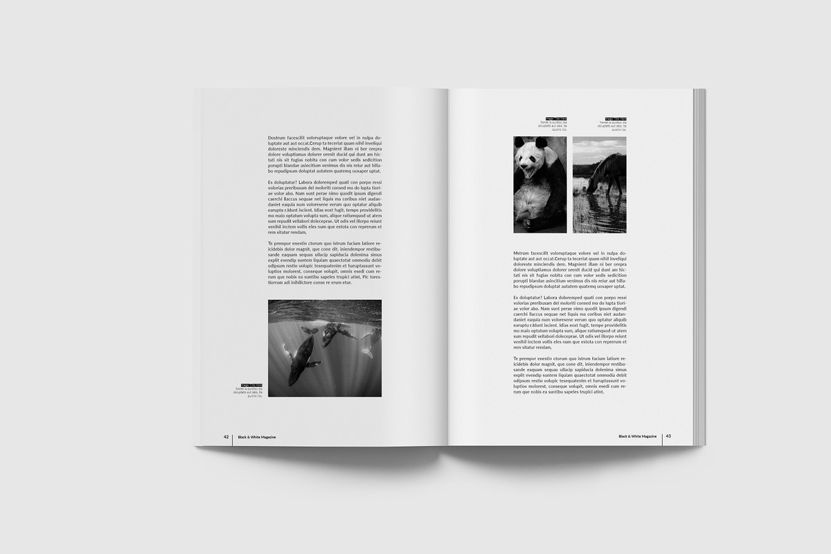 Simple & Clean Magazine Template III, a Magazine Template by Uloel Design (Photo 12 of 12)
