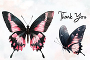 Black and Pink Butterfly Clipart, an Animal Illustration by RobertsArt (Thumbnail 4 of 7)