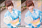 Ricoh Image Controls & Creative Mode, a Plug-in Add-On by Raztrend (Thumbnail 22 of 31)