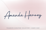 Bernadette Signature | Modern Script, a Script Font by Tigadestd Type (Thumbnail 3 of 7)