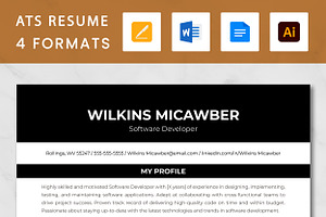 Software Developer Resume Template, a Resume Template by ResumeInventor