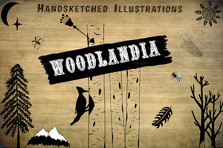 Woodlandia Hand Drawn Illustrations
