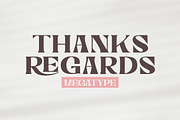Nelona Serif, a Serif Font by Megatype (Thumbnail 11 of 11)