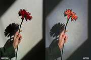 Dark and Moody Lightroom presets, a Preset Add-On by AAA Presets (Thumbnail 6 of 10)
